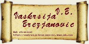 Vaskrsija Brezjanović vizit kartica